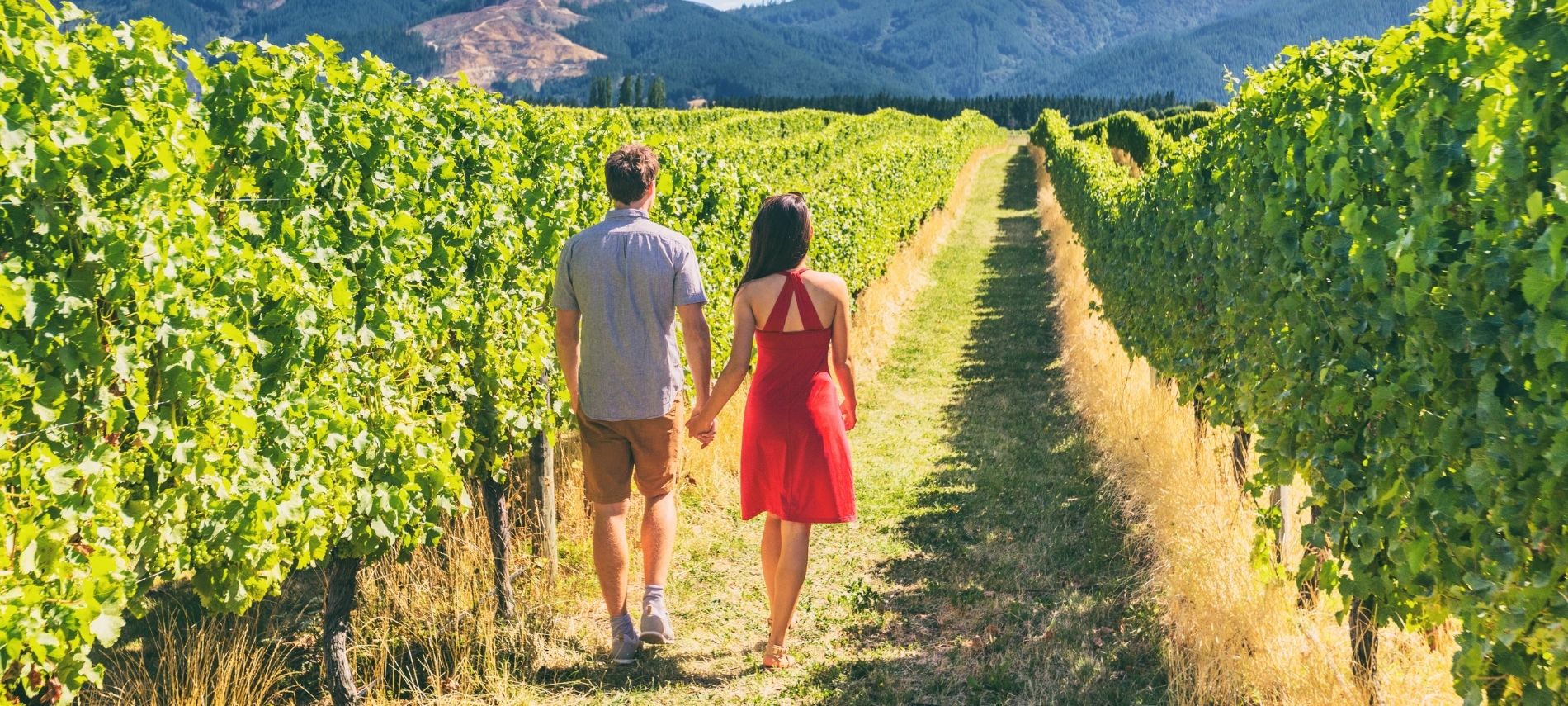 Couple walking hand in hand through vineyard rows in wine country