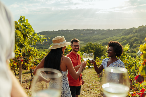 Group of friends enjoying wine tasting in a vineyard