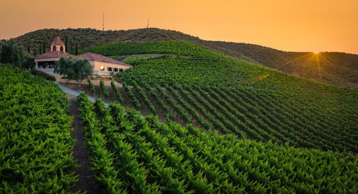 Aerial view of Temecula Valley wine country at golden hour with rolling vineyard hills
