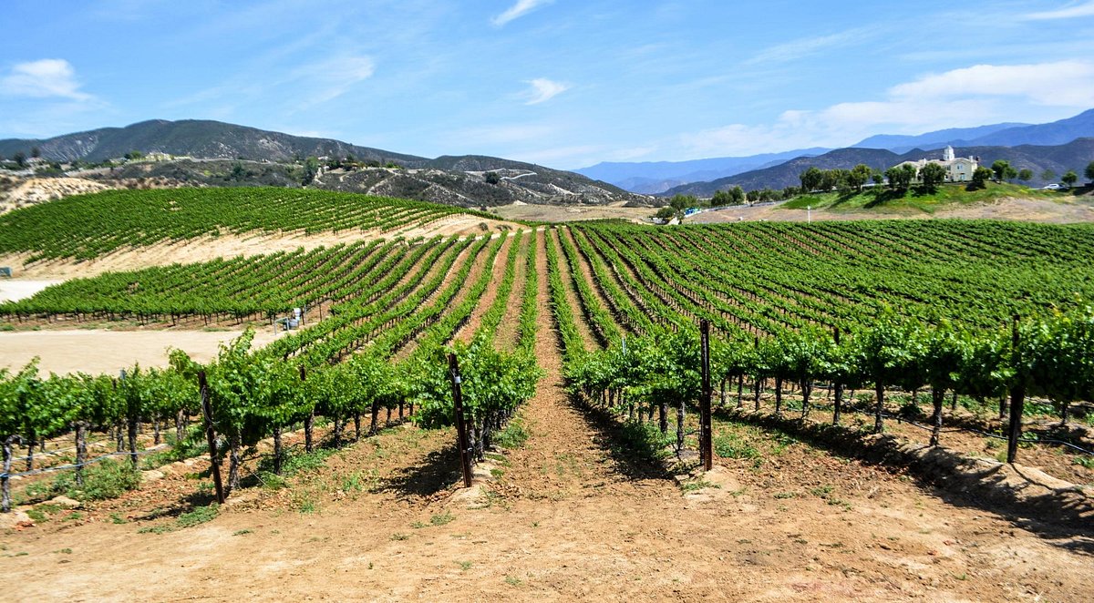 Leoness Cellars hilltop winery with panoramic valley views